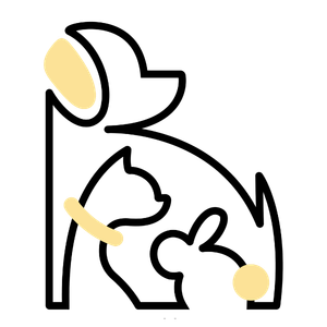 katwalk icon